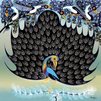 Peacock